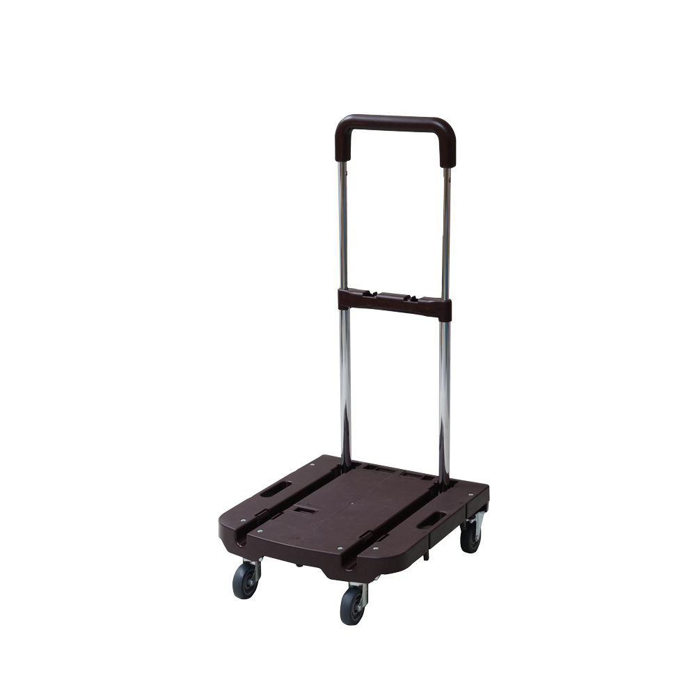 ★2ボールキャリー★ViSE★超美品★コンパクト★ ☆2ボールキャリー☆ViSE☆超美品☆コンパクト 2ボール